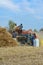 Indian farmers separating husk and wheat grains from the chopped wheat using a thresher machine.