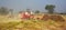 Indian farmers working in the field for to harvesting mustard.