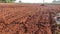 Indian Farming land with plough soil