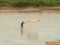 Indian fisherman fishing on river