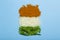 Indian flag made from food background. Basmati rice, curry, green peas and chili peppers in the colors of the Indian