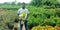 an indian gardener picking flower pot from the collection around plant shop in india aug 2019