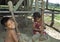 Indian girl and boy pounding rice with rice pestles