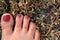Indian girl wearing red nailpolish on the nails of foot on green grass
