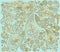 Indian gold pattern on a mint background. Vector