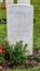 Indian grave stone WWI Cemetery, Flanders Field