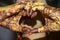 Indian Groom shaping her hand as heart shape beautiful closeup shot