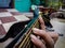 Indian Guitarist In The Garden