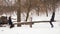 Indian Guy Wearing Glasses Having Fun Riding a Swing with a Pretty Girl in the Winter Forest