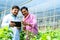 Indian happy agro scientist with farmer checking tablet about plant growth at greenhouse - concept of expert assistance