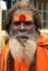 Indian holy man sadhu