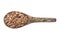 Indian kidney beans in wooden spoon isolated top view on white