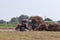 Indian labor farmer emptying the crop loaded in tractor trolley in the field