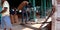 An indian labour transporting wheat sack at wholesale godown