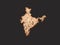 Indian language map in black background 3D Render