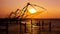 Indian man fishing under the great Chinese nets at Cochin, Kerela, India.