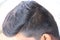 An indian man hair style in close up. Beautiful silky shine black hair, combed and cleanly manintained.