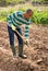 Indian man professional horticulturist with garden mattock