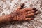 Indian mehndi (henna painting) in womanâ€™s hand at flowery background