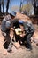 Indian men cooking in Clay Oven in Bolivia