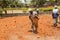 Indian men at work with seal to move the orange earth to cultivate food vegetables grass