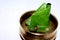 Indian Mouth Freshener Sweet Paan, betel nut leaf
