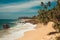 Indian Ocean Coast with stones and pandanus trees. Tropical vacation, holiday background. Wild deserted untouched beach. Paradise