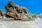 Indian ocean crocodilefish Papilloculiceps longiceps. Taken at Sharm el Sheikh- Red sea  Egypt