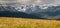 Indian Paintbrush Meadow and Northern Mountains