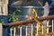 Indian palm squirrel (Funambulus palmarum) on a rooftop\'s rail among houseplants