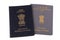 Indian Passport and PIO Card