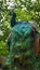 The Indian peafowl or blue peafowl, a large and brightly coloured bird