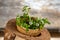 Indian pennywort or brahmi flower and green leaves on an old wood background