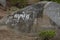 Indian People Writing religion on Stone