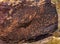 Indian Petroglyphs Newspaper Rock Petrified Forest National Park Arizona