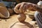 Indian potter making clay pots on pottery wheel in Bikaner. India