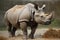 Indian Rhinoceros - South Asia (Generative AI)
