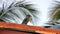 Indian Roller Coracias Benghalensis Sitting on Roof