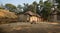 Indian rural village in West Bengal with mud huts, poultry and tribal women