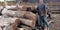 An indian sawmill workers standing infont of wooden logs at godown