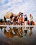 Indian senior males on the shore resevoir with their camels is standing and men as well camels water  the reflection appears