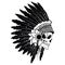 Indian skull with headdress of feathers. The leader of a tribe of Indians. Totem. Line art. Black and white drawing by