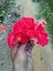 Indian special flower