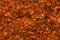 Indian spices background, close up. macro, horizontal frame