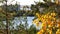 Indian summer, bright yellow birch leaves on a blurred background of a quarry and a lake. Moving autumn background.