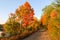 Indian summer at a lake in Algonquin Provincial Park near Toronto in autumn, Canada