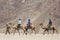 Indian tourists riding camels during safari in Nubra valley in Ladakh, India