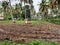 Indian traditional tomb or grave inside the agricultural field with bury building