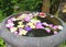 Indian tropical flowers floating in big stone bowl, spa concept