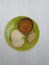 Indian vegetarian rice cakes breakfast known as idli or idly, served with sambar and Chatney in a green plate  in a white